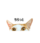 気きがついたんですね、にんげん（個別スタンプ：1）