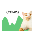 気きがついたんですね、にんげん（個別スタンプ：2）