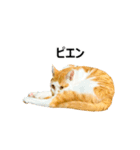 気きがついたんですね、にんげん（個別スタンプ：7）