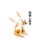 気きがついたんですね、にんげん（個別スタンプ：8）