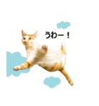気きがついたんですね、にんげん（個別スタンプ：13）