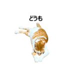 気きがついたんですね、にんげん（個別スタンプ：14）