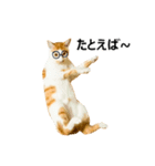 気きがついたんですね、にんげん（個別スタンプ：18）