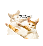 気きがついたんですね、にんげん（個別スタンプ：19）
