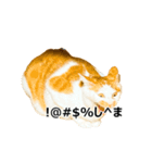 気きがついたんですね、にんげん（個別スタンプ：28）