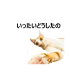 気きがついたんですね、にんげん（個別スタンプ：30）