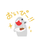 さめぴよ。（個別スタンプ：8）