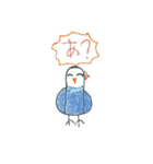 リトくんのインコ 手書きバージョン 3（個別スタンプ：1）