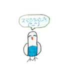リトくんのインコ 手書きバージョン 3（個別スタンプ：4）