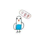 リトくんのインコ 手書きバージョン 3（個別スタンプ：5）