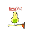 リトくんのインコ 手書きバージョン 3（個別スタンプ：6）