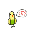 リトくんのインコ 手書きバージョン 3（個別スタンプ：8）