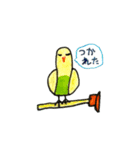 リトくんのインコ 手書きバージョン 3（個別スタンプ：9）