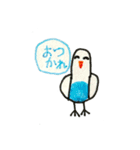 リトくんのインコ 手書きバージョン 3（個別スタンプ：11）