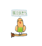 リトくんのインコ 手書きバージョン 3（個別スタンプ：13）
