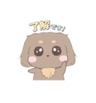 きゅるきゅるダックス（個別スタンプ：8）