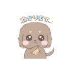きゅるきゅるダックス（個別スタンプ：10）