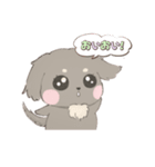きゅるきゅるダックス（個別スタンプ：16）