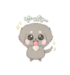 きゅるきゅるダックス（個別スタンプ：19）