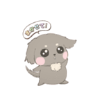 きゅるきゅるダックス（個別スタンプ：22）