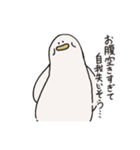 私は愚かなアヒルです＋（個別スタンプ：12）