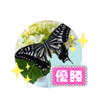 イモちゃんとアゲちゃん（個別スタンプ：9）