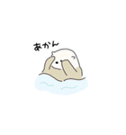 きゅーてぃーどうぶつスタンプ（個別スタンプ：8）