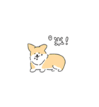 きゅーてぃーどうぶつスタンプ（個別スタンプ：13）