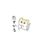 きゅーてぃーどうぶつスタンプ（個別スタンプ：23）