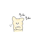 きゅーてぃーどうぶつスタンプ（個別スタンプ：29）