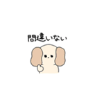 きゅーてぃーどうぶつスタンプ（個別スタンプ：38）