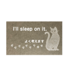 A cat studying English hard.（個別スタンプ：4）