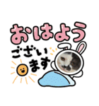 みーと時々艇暴（個別スタンプ：2）