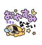 みーと時々艇暴（個別スタンプ：3）