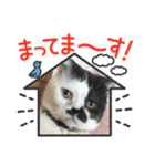 みーと時々艇暴（個別スタンプ：4）