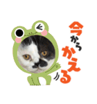 みーと時々艇暴（個別スタンプ：6）