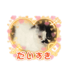 みーと時々艇暴（個別スタンプ：9）
