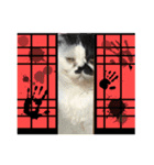 みーと時々艇暴（個別スタンプ：14）
