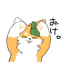 よっぬ〜スタンプ（個別スタンプ：3）