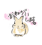 うさぎのいるゆるりとした暮らし（個別スタンプ：1）
