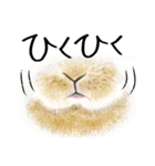 うさぎのいるゆるりとした暮らし（個別スタンプ：10）