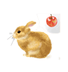 うさぎのいるゆるりとした暮らし（個別スタンプ：19）
