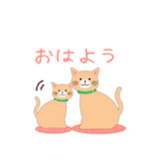 【茶猫】ありがとうスタンプ#猫の日（個別スタンプ：31）