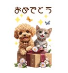 トイプードルと子猫のBIGスタンプ（個別スタンプ：32）