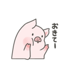 pigちゃんスタンプ！第6弾（個別スタンプ：10）