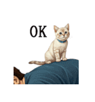 この惑星を支配する猫（個別スタンプ：3）