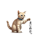 この惑星を支配する猫（個別スタンプ：4）