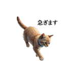 この惑星を支配する猫（個別スタンプ：19）