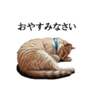 この惑星を支配する猫（個別スタンプ：21）