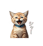 この惑星を支配する猫（個別スタンプ：25）